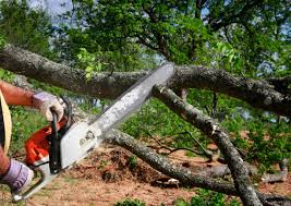 Mulching Services in West Salem, OH